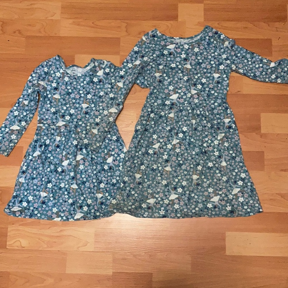 Carter’s long sleeve dress. Comes in size 4t and 7